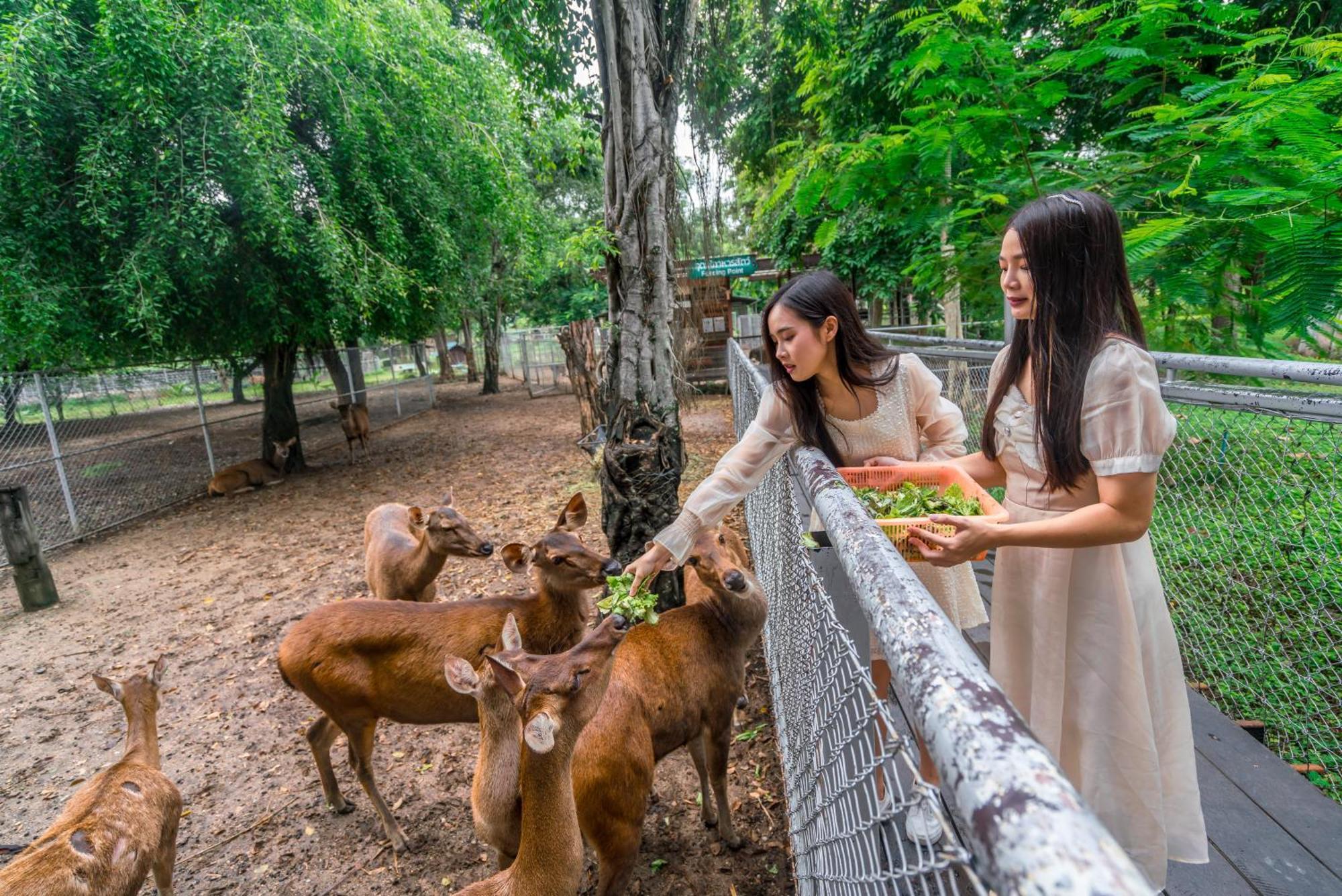 Horizon Village & Resort Doi Saket Екстериор снимка