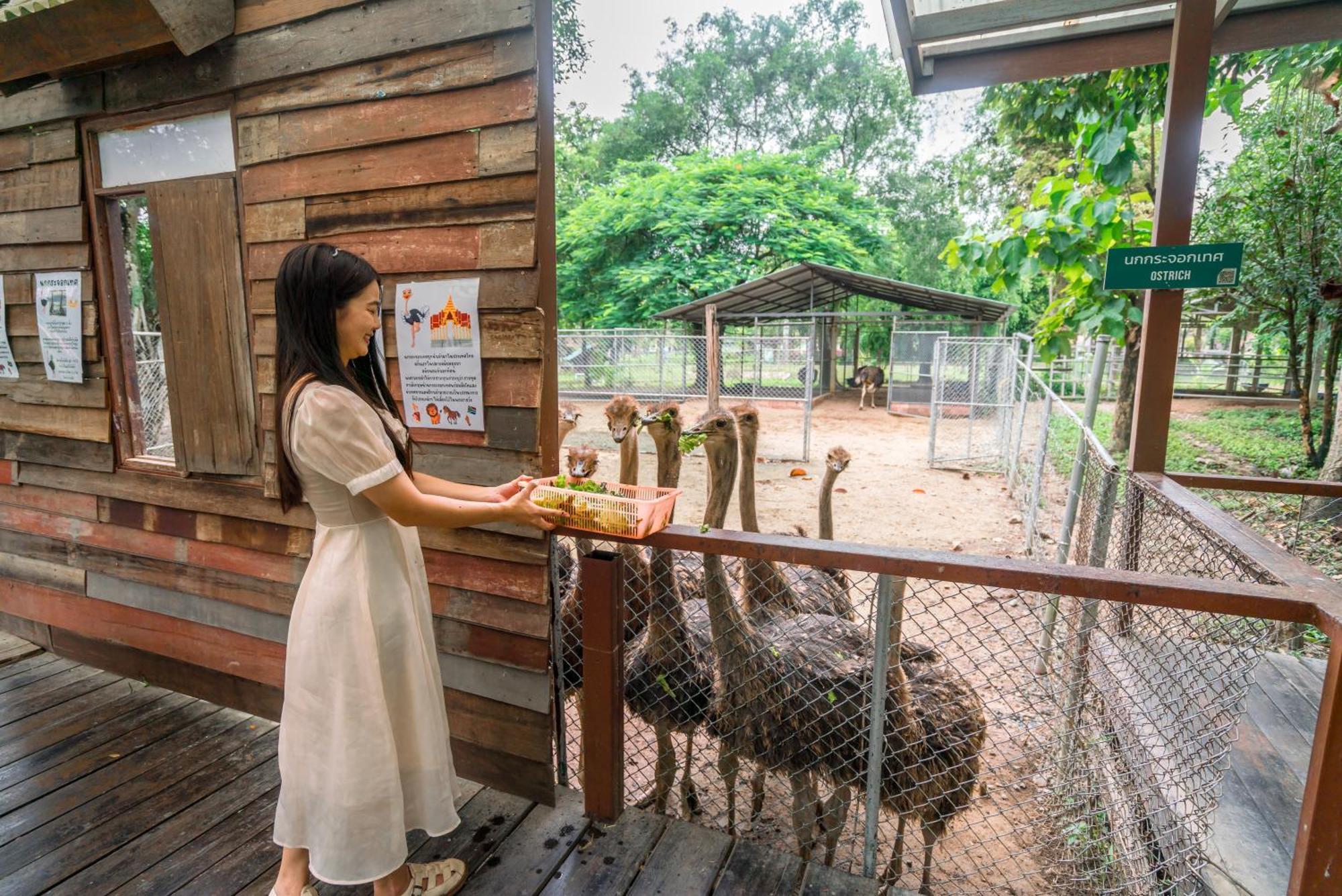 Horizon Village & Resort Doi Saket Екстериор снимка